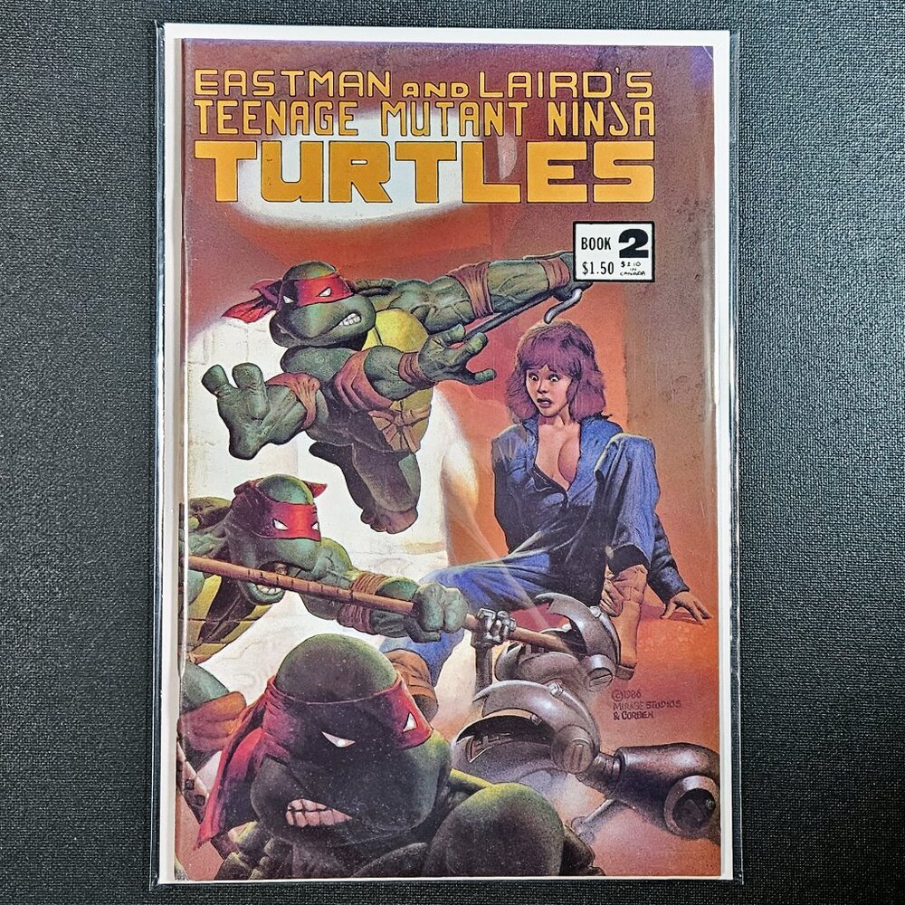 Teenage Mutant Ninja Turtles 2 Vol. 1 🔑 issue (1985)